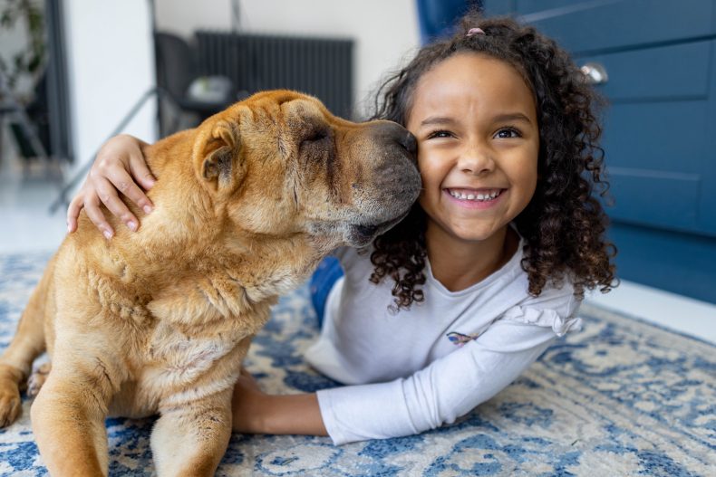 O Instituto Ampara Animal recomenda a adoção apenas de cães e gatos para o convívio doméstico. Foto: Getty Images.