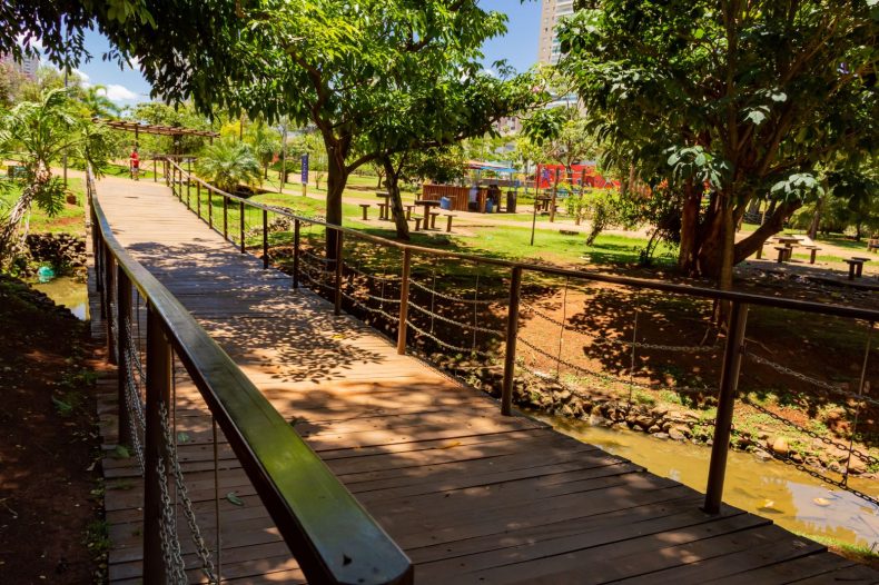 Corredores ecológicos são importantes para a conservação da biodiversidade. Foto: Getty Images.