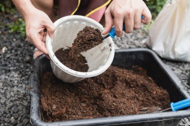 Use o material orgânico da composteira para nutrir sua horta caseira. Foto: Getty Images.