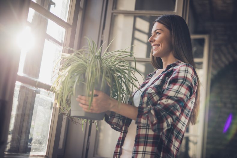 É possível cultivar várias plantas em apartamento. Foto: Getty Images.