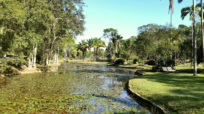 Passeios em SP: Jardim Botânico é uma atração imperdível na capital paulista. Foto: Getty Images.