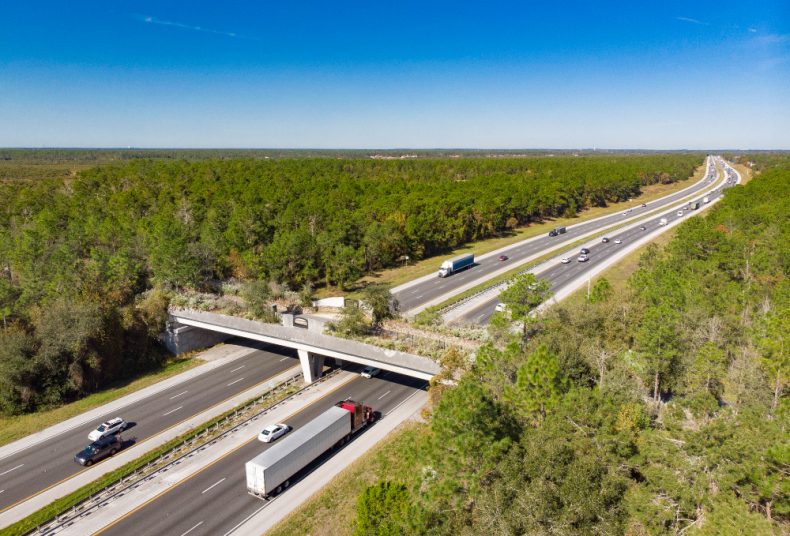 Corredores verdes ajudam a preservar a fauna. Na imagem, exemplo em Ocala, nos EUA. Foto: Getty Images.