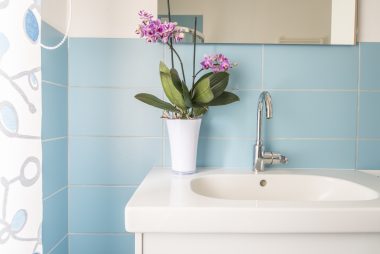 Lindas e elegantes, as orquídeas são perfeitas para o banheiro, pois gostam da umidade e da luz indireta. Foto: Getty Images.
