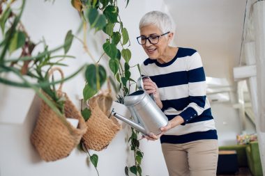 Uma das vantagens das trepadeiras é a variedade disponível para cultivar. Foto: Getty Images.