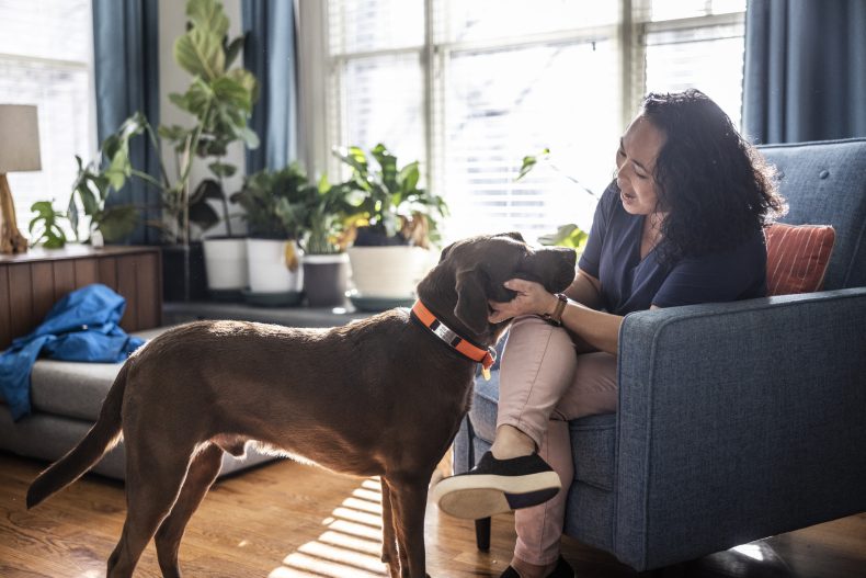 Cachorros tomam decisões com base em nosso comportamento. Foto: Getty Images.