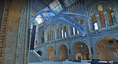 National History Museum impressiona visitantes. Foto: Google Earth.