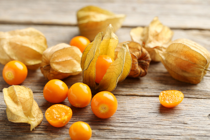 PANCs: a Physalis é um exemplo de planta comestível. Foto: Getty Images.