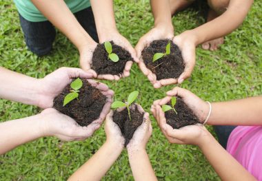 Horta comunitária, ou jardim comestível, tem chamado atenção em algumas cidades. Foto: Getty Images.