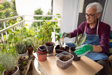 Húmus de minhoca é um dos tipos mais versáteis de adubo. Foto: Getty Images.