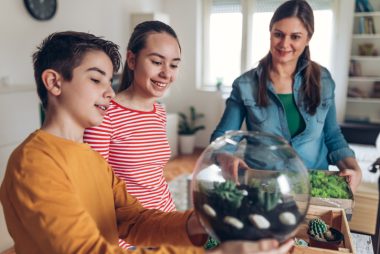 Rega dependerá das plantas que você escolheu para compor o seu terrário. Foto: Getty Images.