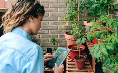 Aplicativos tornam a nossa relação com a natureza mais prática e interessante. Foto: Getty Images.