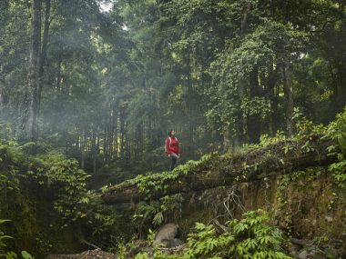 Habilidades verdes promovem um mundo mais sustentável. Foto: Getty Images.