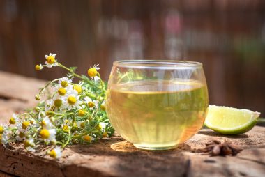 Dá para cultivar plantas medicinais em casa com dicas simples e práticas. Foto: Getty Images.