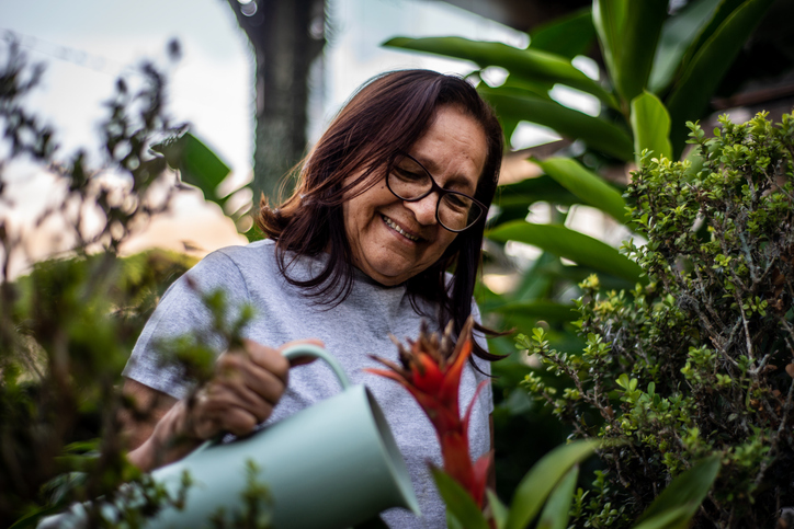 Para a maioria das plantas, a água em temperatura entre 20°C e 25°C é ideal para a rega. Foto: Getty Images.