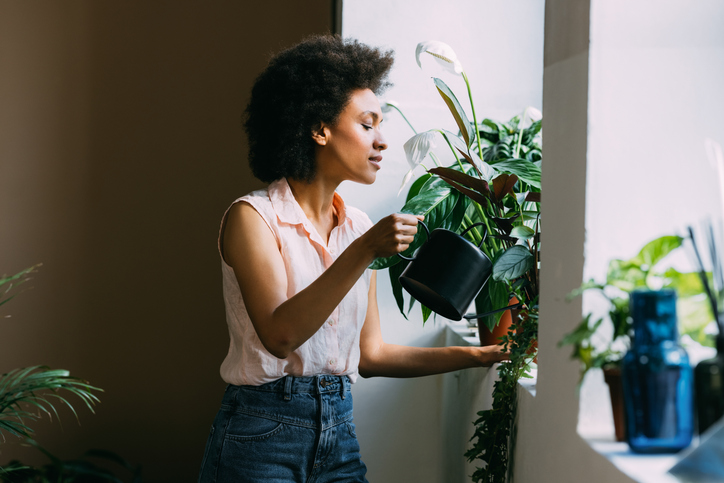 O verde deixa qualquer ambiente da casa bonito, além de promover o bem-estar. Foto: Getty Images.