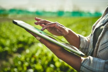 Sensor utiliza inteligência artificial (IA) para medir o estresse hídrico das plantas. Foto: Getty Images.