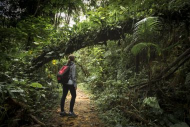 As reservas da biosfera foram concebidas para promover uma abordagem integrada à gestão ambiental. Foto: Getty Images.