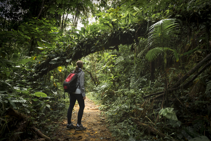As reservas da biosfera foram concebidas para promover uma abordagem integrada à gestão ambiental. Foto: Getty Images.