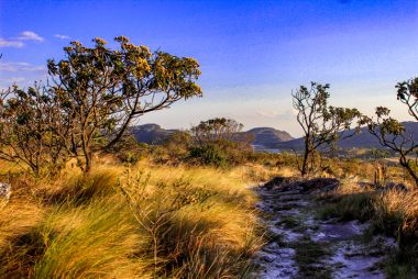 O Cerrado é berço dos rios São Francisco, Tocantins, Paraná, Araguaia e Paraguai, entre outros. Foto: Getty Images.