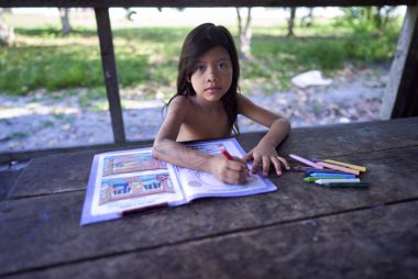 Dados do Censo Escolar de 2023 revelam que apenas 24,8% das escolas que oferecem educação escolar indígena possuem material pedagógico adequado. Foto: Getty Images.