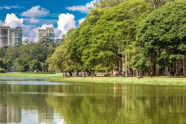 A integração de florestas urbanas pode valorizar propriedades imobiliárias. Foto: Getty Images.