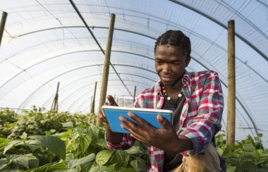 Respeito ao conhecimento tradicional é fundamental para que a biodiversidade seja preservada. Foto: Getty Images.